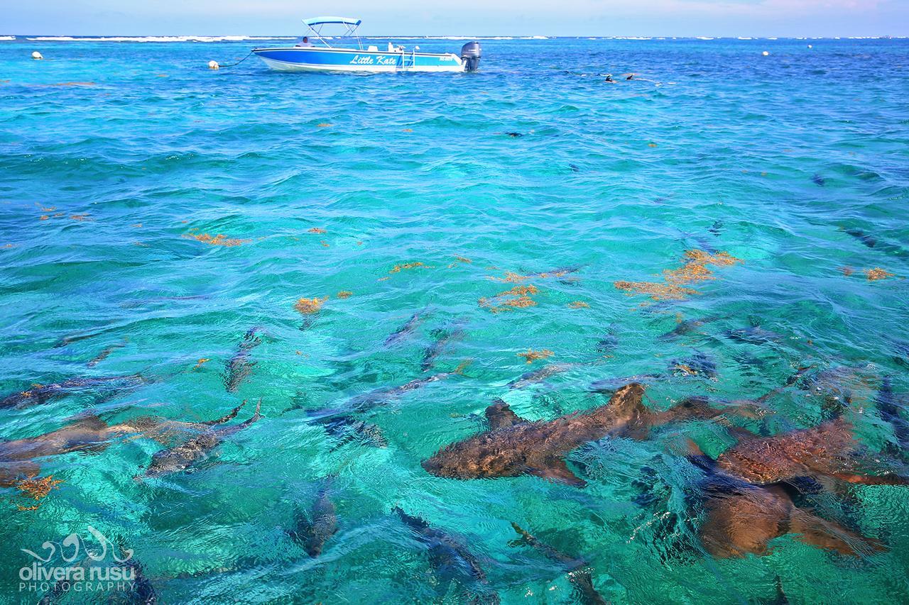 Cayo Espanto San Pedro  Buitenkant foto